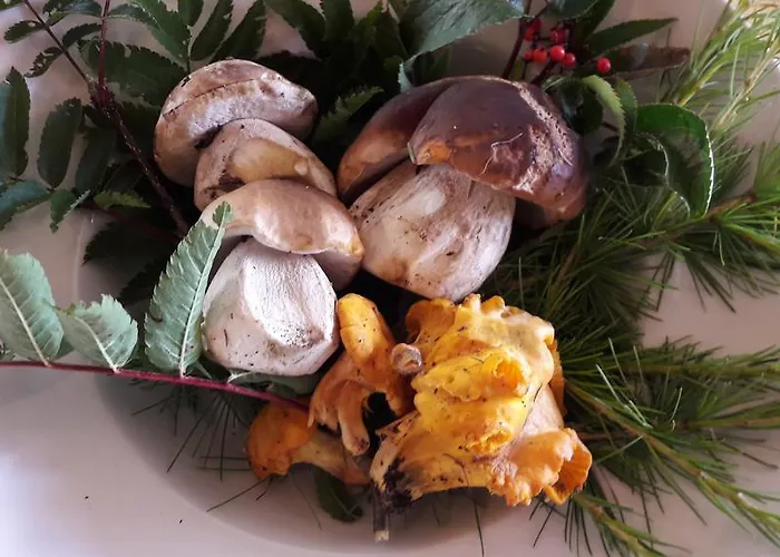 Sporthotel Clavadel 2*